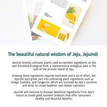 Jeju Indi Vitamin C Bubble Powder Cleanser 30ea image 3
