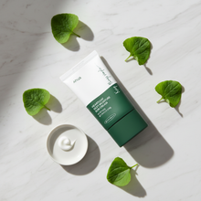 Anua Heartleaf Silky Moisture Sunscreen 50ml image 4